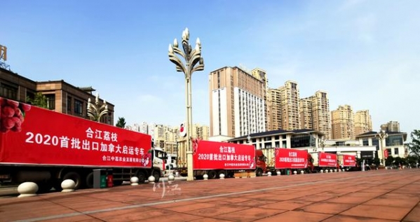 全省第五丨泸州去年外贸进出口总额89.8亿元，同比增长6.4%-2.jpg