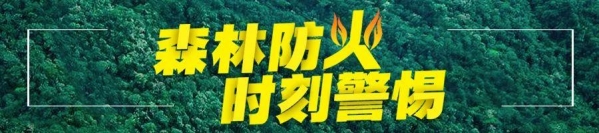 全省第五丨泸州去年外贸进出口总额89.8亿元，同比增长6.4%-4.jpg
