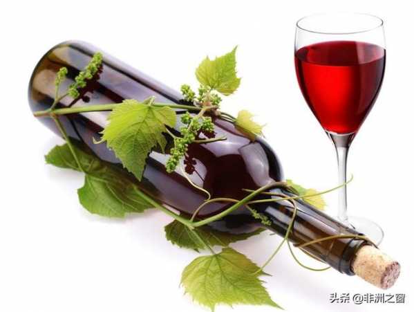 海关亮剑进口葡萄酒终于可以理直气壮地向“挂羊头，卖狗肉”说不-7.jpg