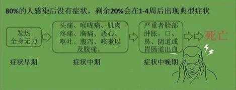科普｜海关带你认识拉沙热-4.jpg