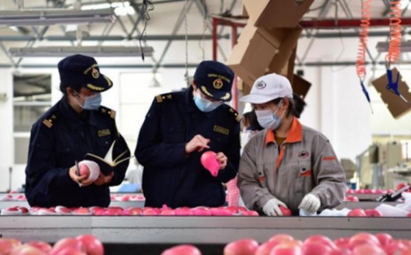 远程查验、无接触、零延时服务，烟台海关助力企业扩大出口-1.jpg