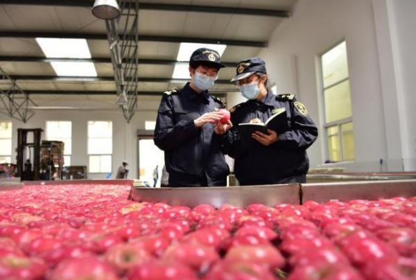 远程查验、无接触、零延时服务，烟台海关助力企业扩大出口-2.jpg