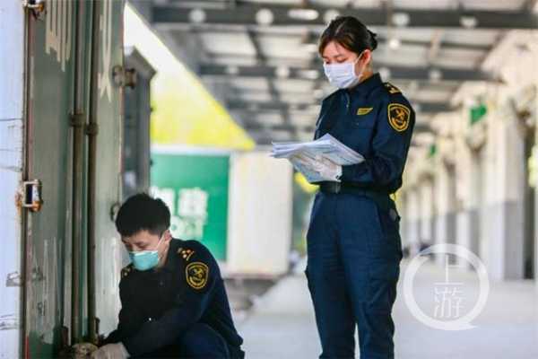 2020年重庆对东盟进出口1121.7亿元 进口水果增长1.8倍-1.jpg