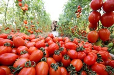 海南自贸港迎来首单境外飞机进境保税维修业务-7.jpg