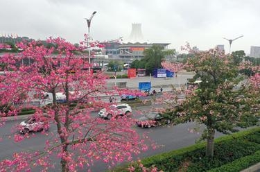 海南自贸港迎来首单境外飞机进境保税维修业务-15.jpg