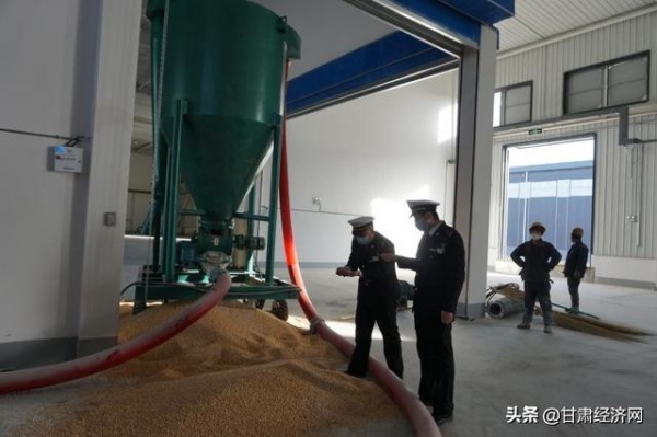兰州海关完成兰州新区综合保税区今年首批进境玉米检疫监管-2.jpg