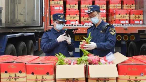 海关总署：全国海关去年减税超2600亿元-3.jpg