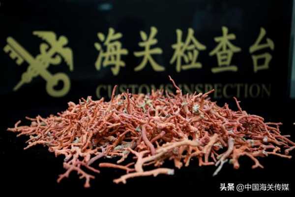 “水客”团伙“带货”，930万元红珊瑚走私案告破-4.jpg