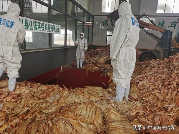 国际海关日：认识一个更加开放、自信的中国-6.jpg