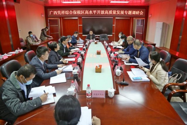自治区北部湾办调研组到广西凭祥综合保税区调研高水平开放高质量发展工作-1.jpg