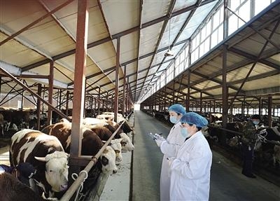 满洲里海关赋能激活外贸经济-2.jpg