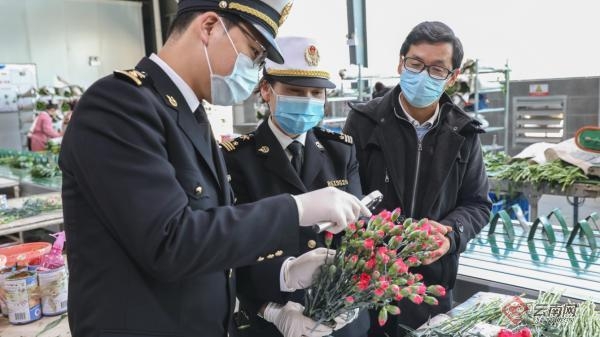 昆明海关助力云南高原特色农产品出口逆势上扬-3.jpg