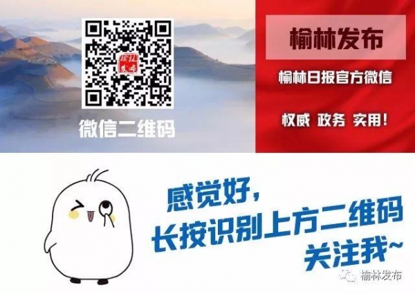 2020年榆林外贸进出口创历史新高-4.jpg