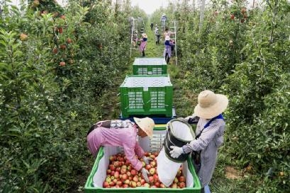中国进出口银行陕西省分行：2020年累计投放各类贷款近500亿元 支持对外开放取得扎实成效-1.jpg