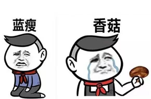 华人女子藏神秘物入境新西兰，结果有点惨！过海关，侥幸心理要不得-4.jpg