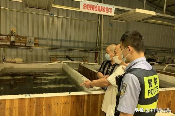 【国门利剑】福州海关缉私局2020年缉私战果丰硕！-12.jpg