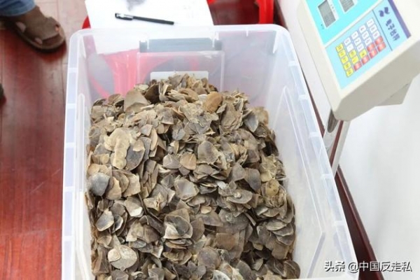 【国门利剑】福州海关缉私局2020年缉私战果丰硕！-18.jpg