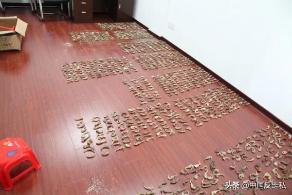 【国门利剑】福州海关缉私局2020年缉私战果丰硕！-19.jpg