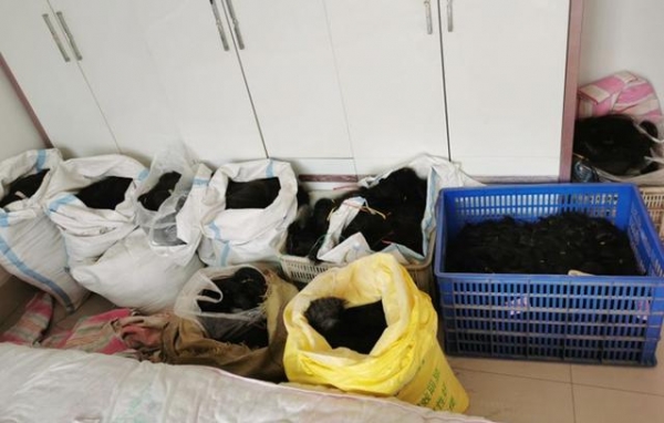 小小头发丝牵出走私大案，青岛海关破获一起案值10亿元走私人发进境案-2.jpg
