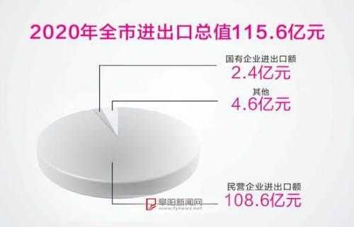 去年阜阳市进出口总值达115.6亿元-2.jpg