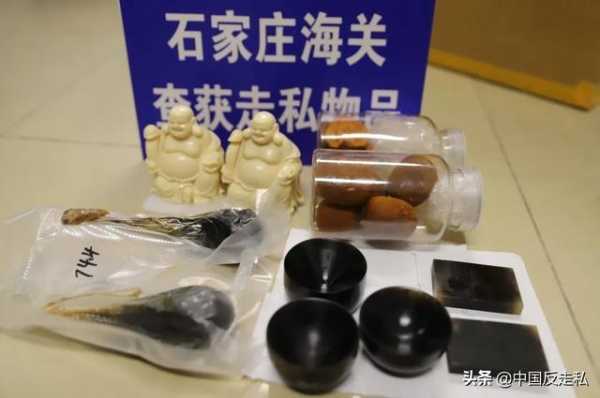【国门利剑】石家庄海关“国门利剑2020”联合专项行动全程回顾-2.jpg
