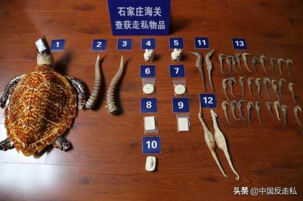 【国门利剑】石家庄海关“国门利剑2020”联合专项行动全程回顾-3.jpg