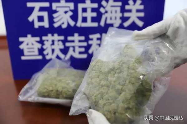 【国门利剑】石家庄海关“国门利剑2020”联合专项行动全程回顾-6.jpg