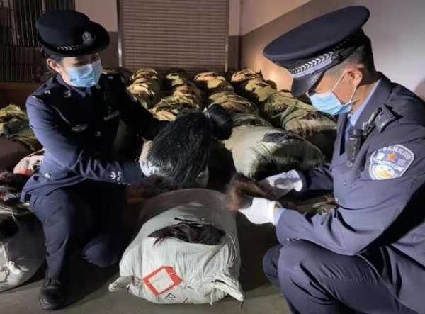 昆明海关查获案值1.5亿元特大走私人发案件-2.jpg