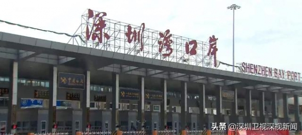 2020深圳货物贸易进出口双增长，全国外贸增长贡献率第一-2.jpg