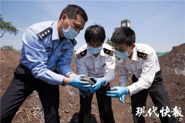 2020年南京海关查办走私违法案件2349起，查发1.89万吨“洋垃圾”-6.jpg