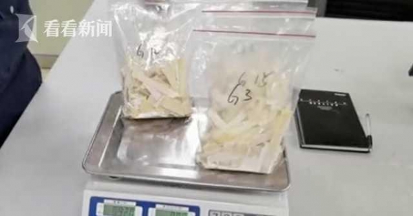 低调奢华！钢琴键用象牙制作 上海海关慧眼识破-2.jpg