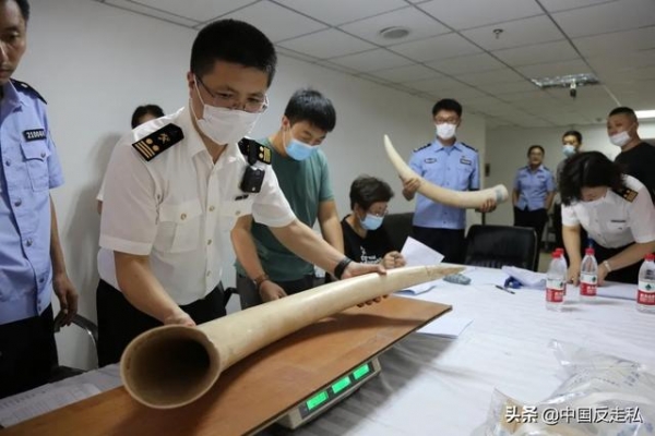 【国门利剑】大连海关“国门利剑2020”专项行动成效显著-4.jpg