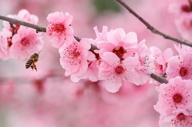 春节期间海口海关监管海南离岛免税销售额达9.97亿元-3.jpg