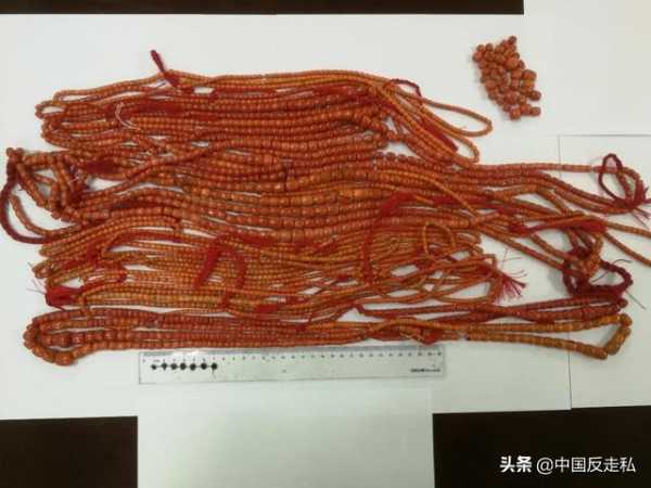 【国门利剑】郑州海关2020年“国门利剑”专项行动成果速览-8.jpg