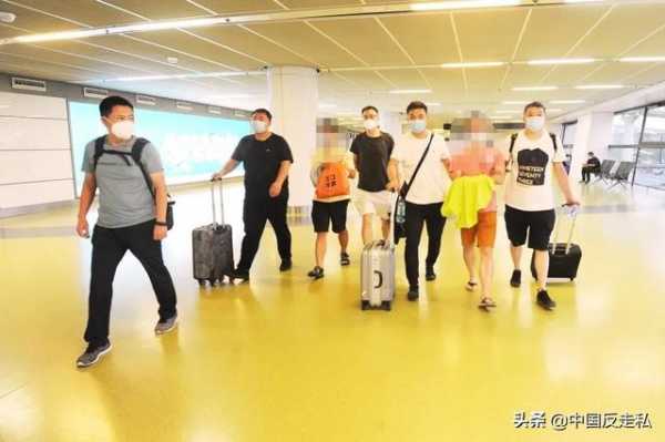 【国门利剑】郑州海关2020年“国门利剑”专项行动成果速览-21.jpg