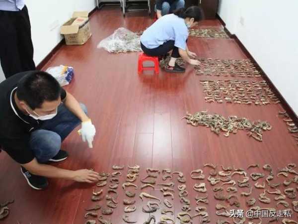 【国门利剑2021】福州海关召开2021年关区缉私工作会议-7.jpg