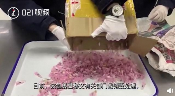 上海海关查获406只活体蚂蚁，每只都单独放置管中，网友：有何居心-2.jpg