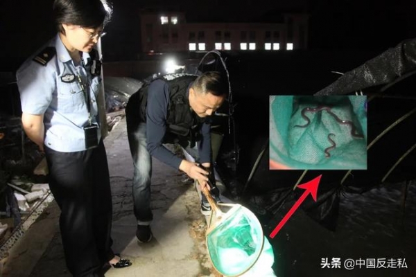 【中国反走私】深圳海关缉私局年度工作大盘点-3.jpg