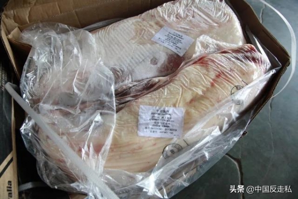 【中国反走私】深圳海关缉私局年度工作大盘点-9.jpg
