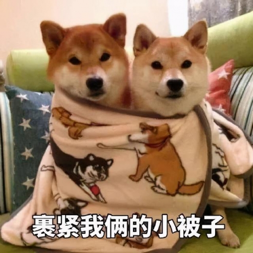 看完头皮发麻！上海海关查获406只活体蚂蚁！这也能当宠物养？-1.jpg