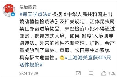 密恐慎入！上海海关查货406只活体蚂蚁，统统藏在一个可疑包裹里-4.jpg