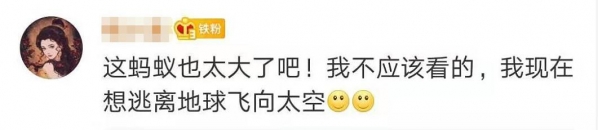 头皮发麻！上海海关查获406只活体蚂蚁，每只体长2厘米！还真有人拿它们当宠物？-3.jpg