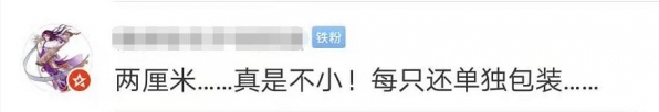 头皮发麻！上海海关查获406只活体蚂蚁，每只体长2厘米！还真有人拿它们当宠物？-5.jpg