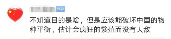 头皮发麻！上海海关查获406只活体蚂蚁，每只体长2厘米！还真有人拿它们当宠物？-7.jpg
