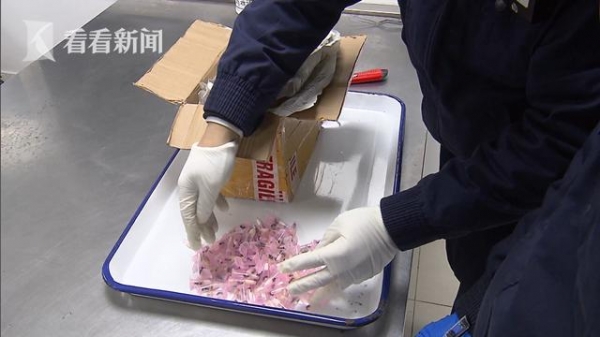 惊现巨型蚂蚁！上海海关截获一批外来入侵物种-2.jpg