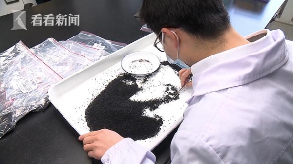 惊现巨型蚂蚁！上海海关截获一批外来入侵物种-3.jpg