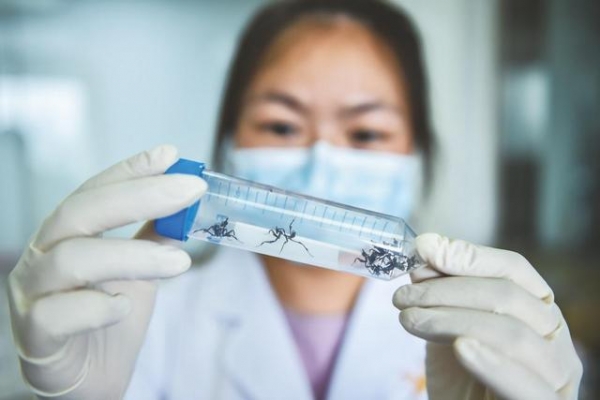 临难不避 实干为要——成都海关2020年工作纪实-5.jpg