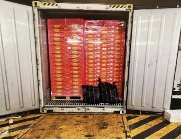 香港海关破获逾亿港元毒品案 暂拘捕一名涉案男子-2.jpg