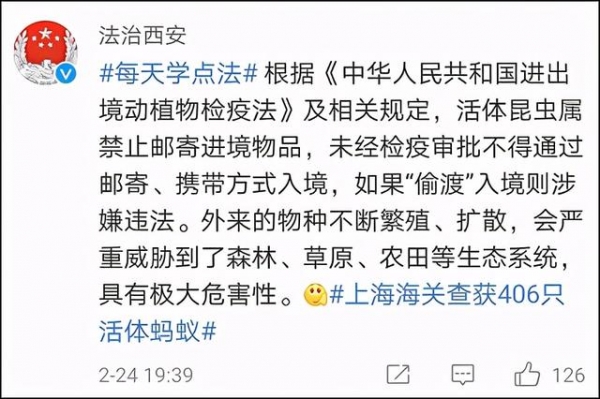 密恐慎入！海关打开一个可疑包裹，里面竟然有406只活体蚂蚁-4.jpg