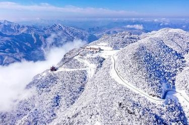 春节期间海口海关监管海南离岛免税销售额达9.97亿元-12.jpg